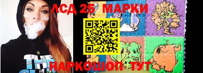 гидра Будённовск