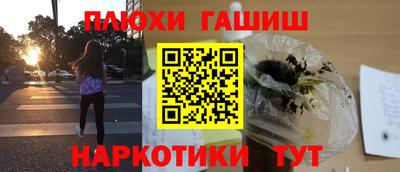 гидра Будённовск
