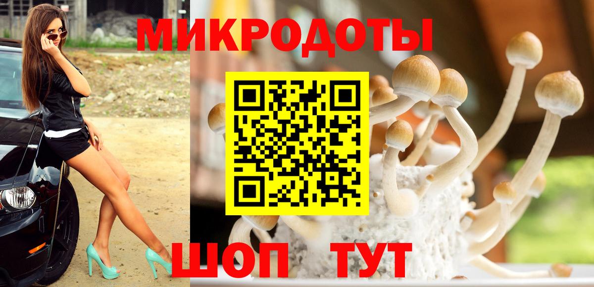 Переславль-Залесский  Псилоцибиновые грибы Psilocybe  Вход с VPN 